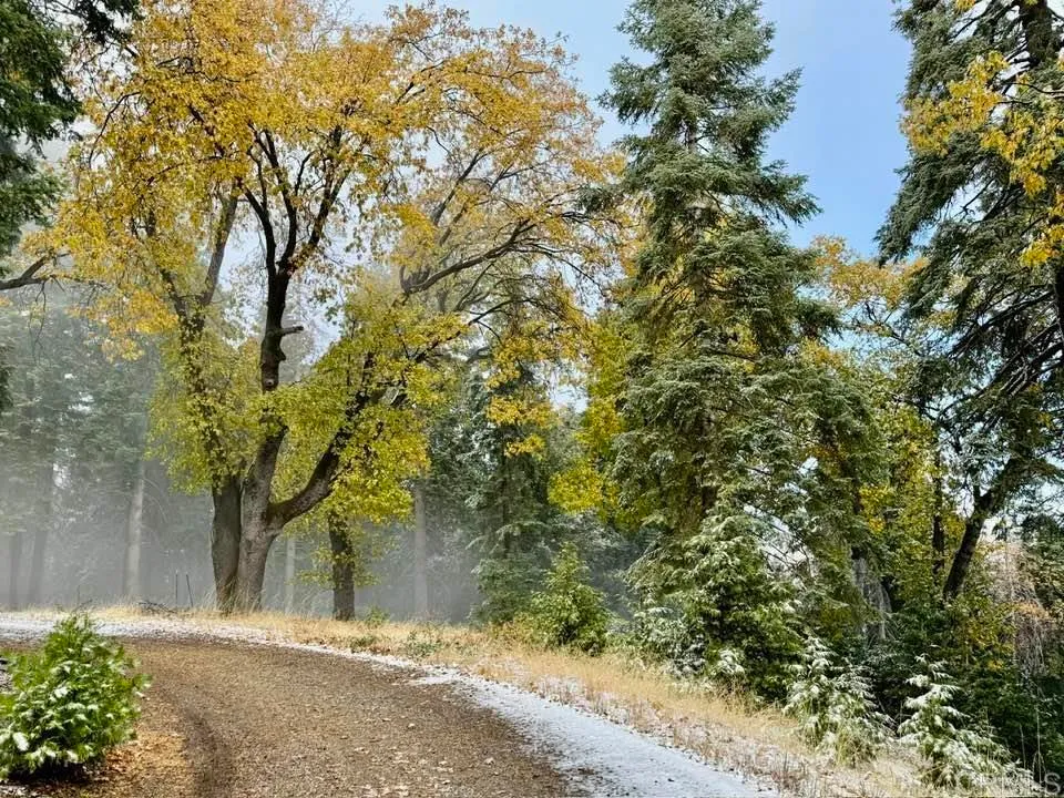 Additional image 112 of 3413 Fern Meadow Road, Palomar Mountain, CA 92060