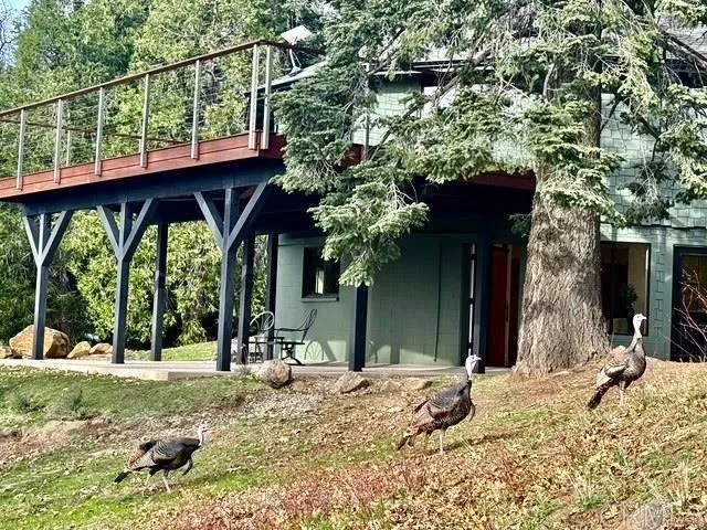 Additional image 106 of 3413 Fern Meadow Road, Palomar Mountain, CA 92060