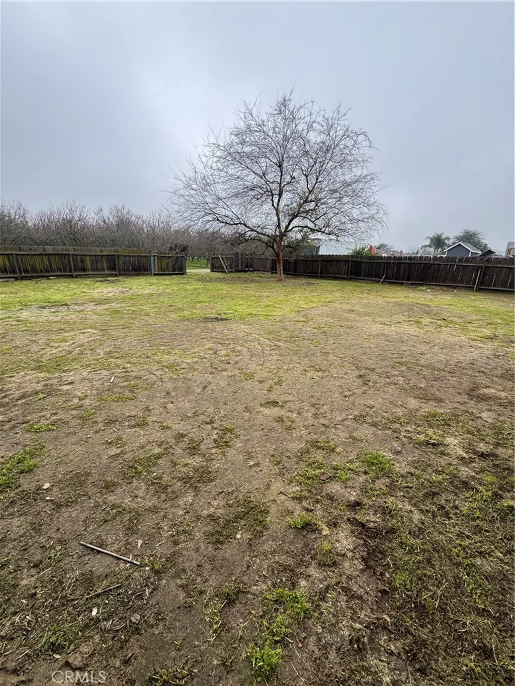 Additional image 30 of 2433 W Clemenceau Ave, Caruthers, CA 93609