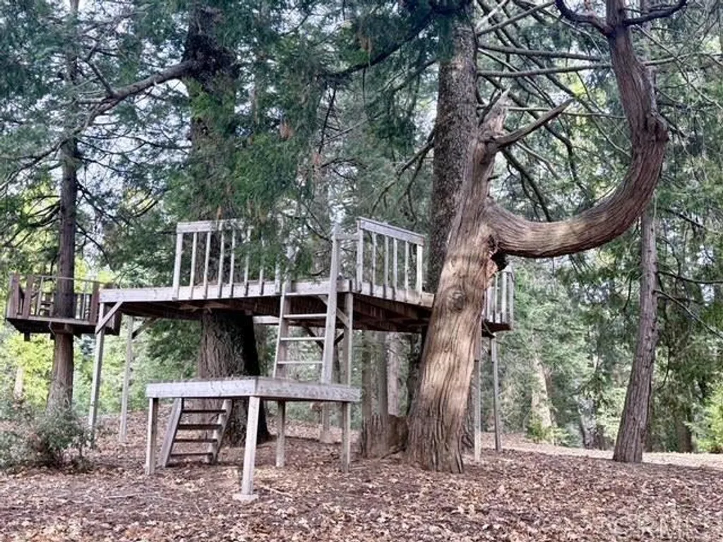 Additional image 41 of 3413 Fern Meadow Road, Palomar Mountain, CA 92060