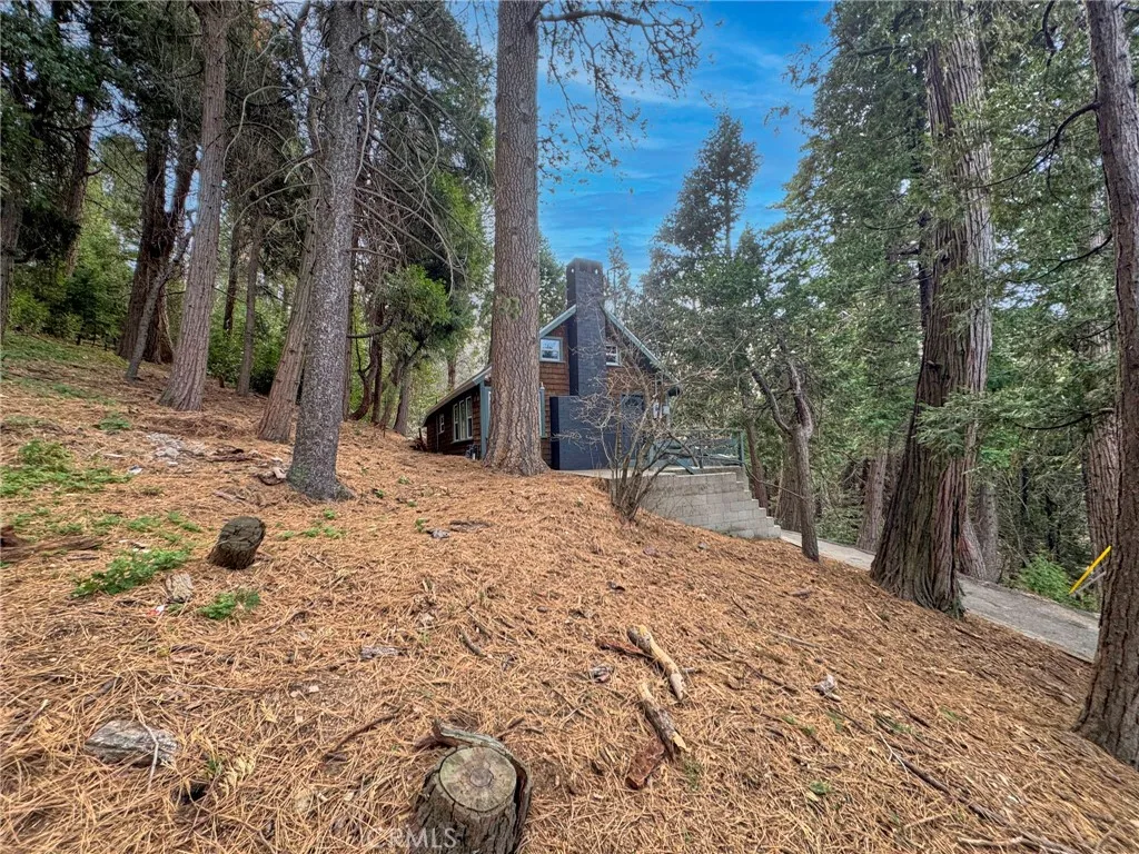 Additional image 27 of 480 Valley Road, Crestline, CA 92325