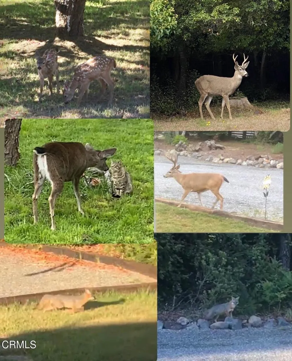 Additional image 8 of 31400 Sherwood Road, Fort Bragg, CA 95437