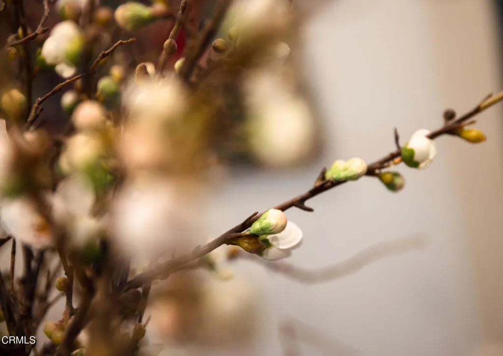 Property image for 382 E California Boulevard Unit 105, Pasadena, CA 91106