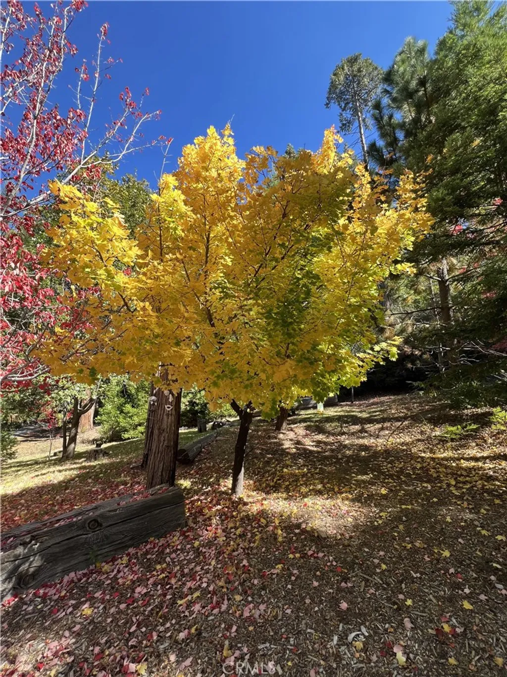 Additional image 42 of 29729 Katharine Way, Cedar Glen, CA 92321