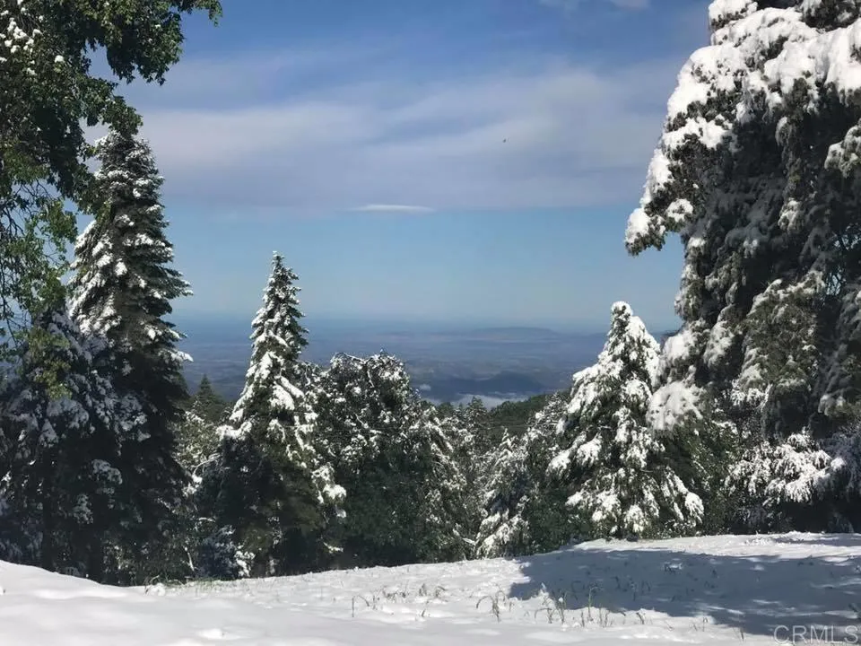 Additional image 133 of 3413 Fern Meadow Road, Palomar Mountain, CA 92060