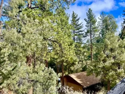 Additional image 39 of 1904 Bernina Dr, Pine Mountain Club, CA 93222