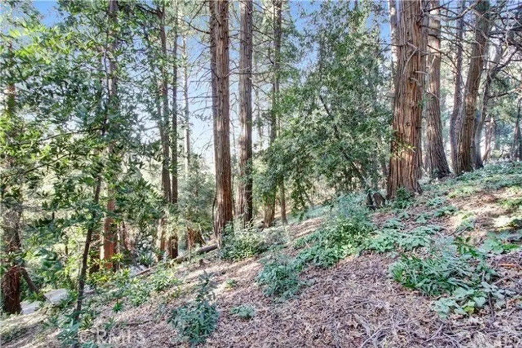 Additional image 5 of 2661 Scenic, Crestline, CA 92325