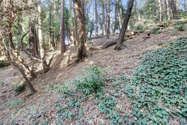 Additional image 9 of 2661 Scenic, Crestline, CA 92325