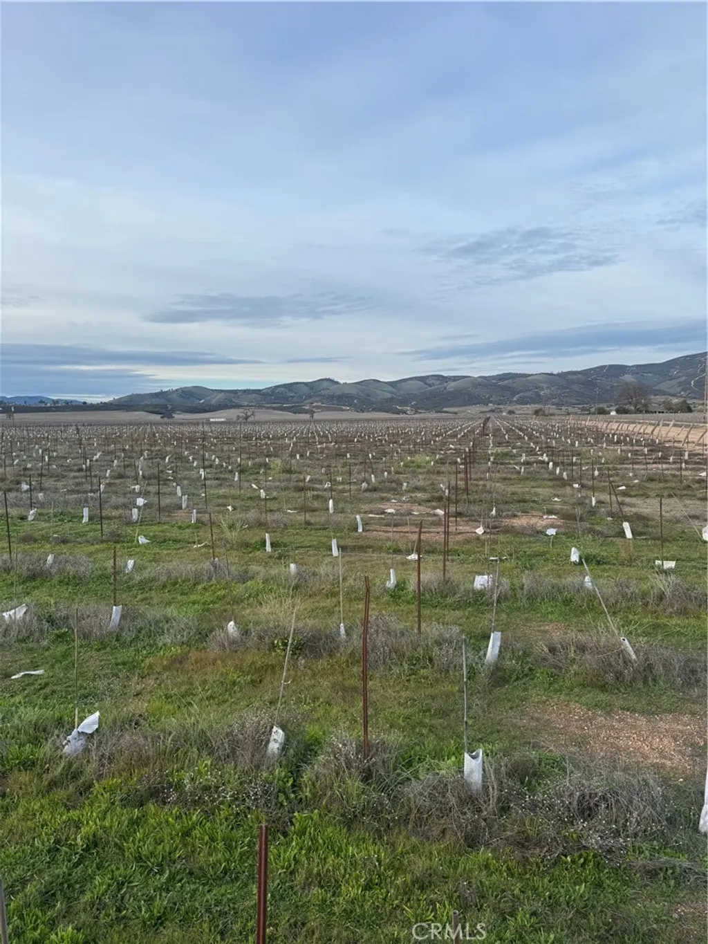 Additional image 13 of 48655 Lockwood Jolon Road, Lockwood, CA 93932