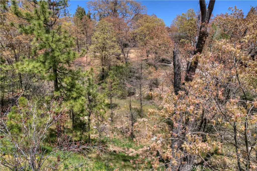 Additional image 18 of 27998 W Shore Road, Lake Arrowhead, CA 92352