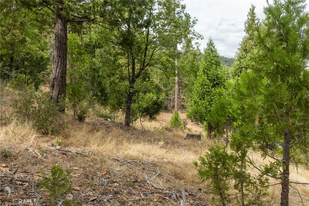 Additional image 39 of 26 Timberview, North Fork, CA 93643