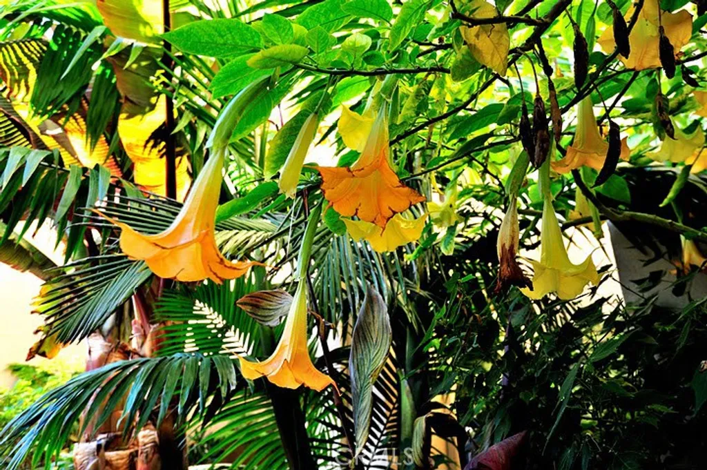 Additional image 22 of 1301 Cabrillo Ave, Torrance, CA 90501