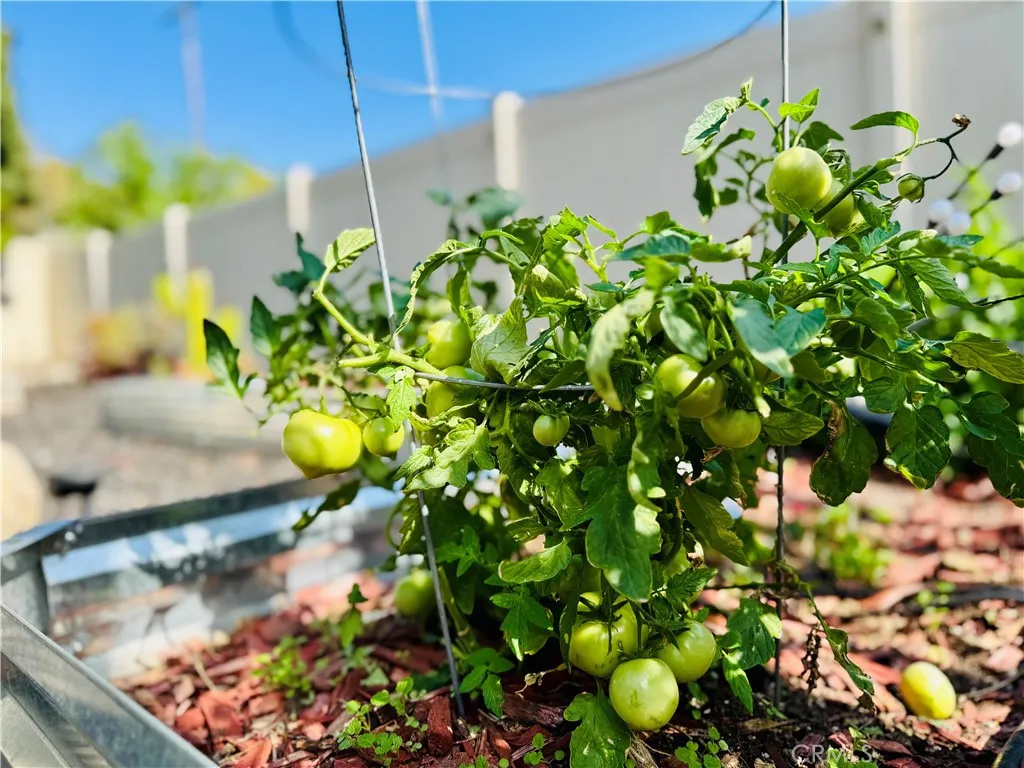 Additional image 36 of 750 Lincoln Avenue, Walnut, CA 91789