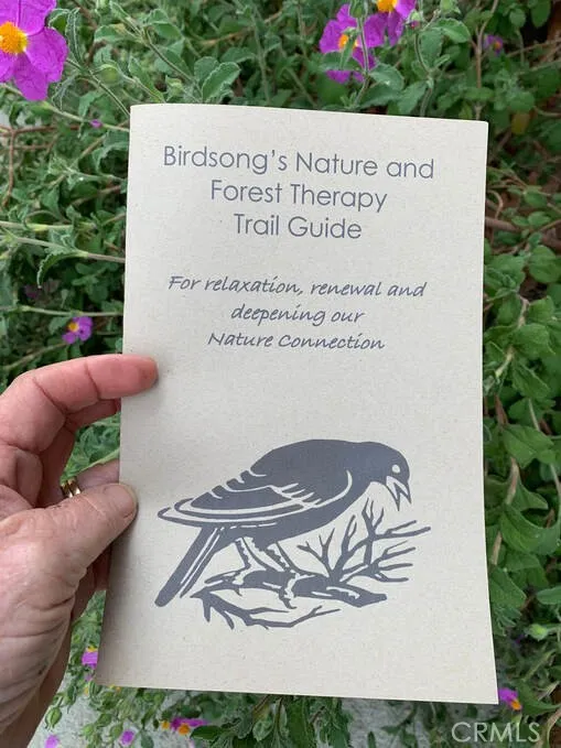 Additional image 139 of 30415 Chihuahua Valley Road, Warner Springs, CA 92086