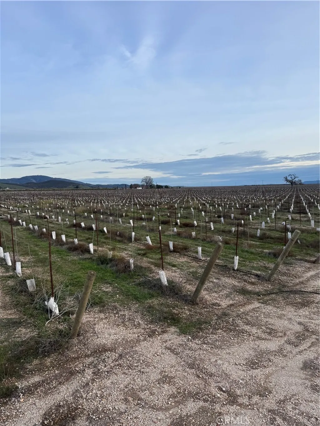 Additional image 18 of 48655 Lockwood Jolon Road, Lockwood, CA 93932