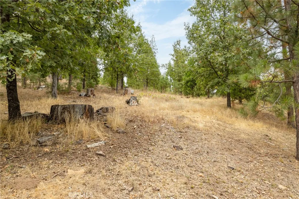 Additional image 44 of 26 Timberview, North Fork, CA 93643