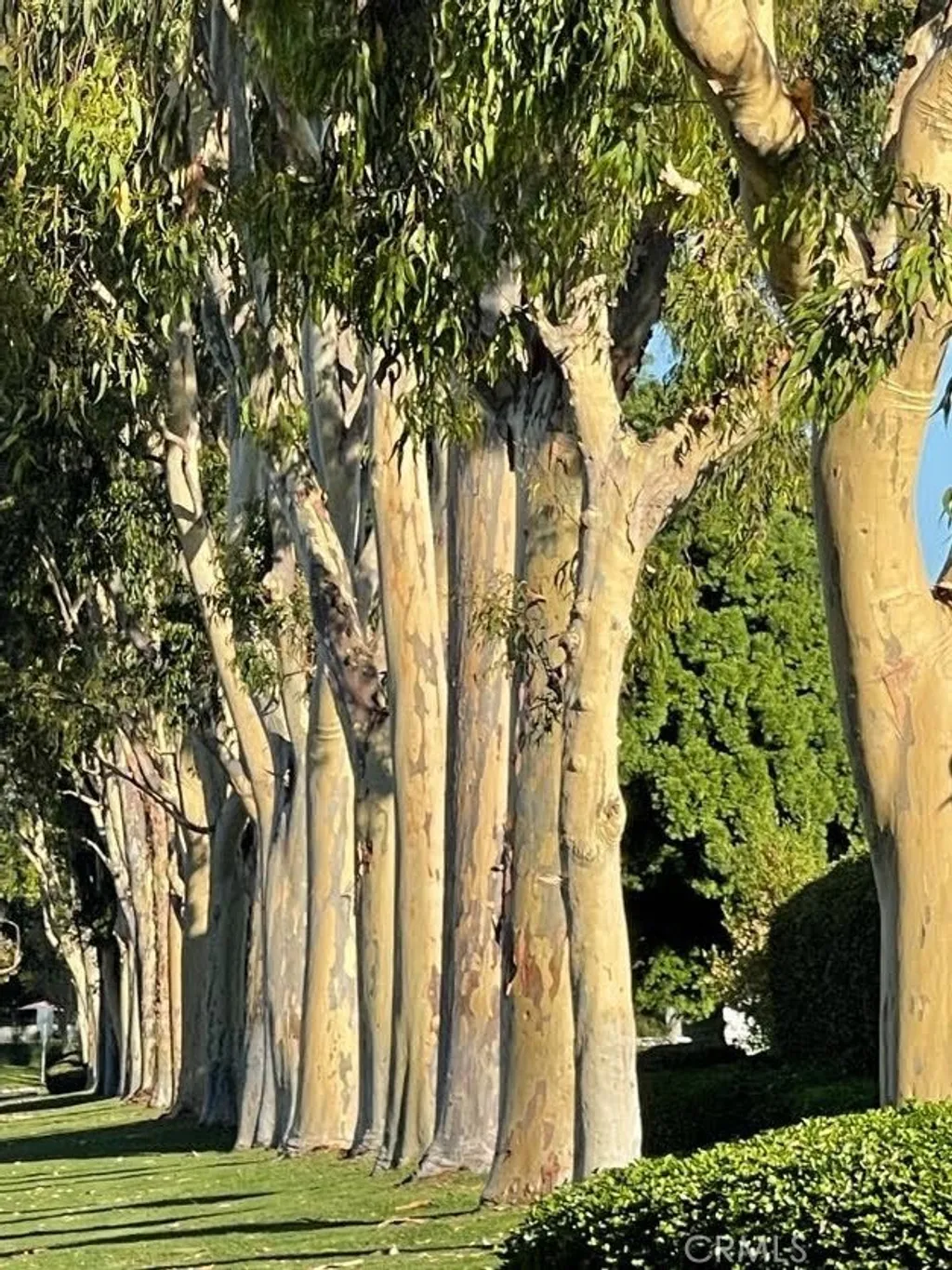 Additional image 27 of 3 Rushingwind Unit 4, Irvine, CA 92614