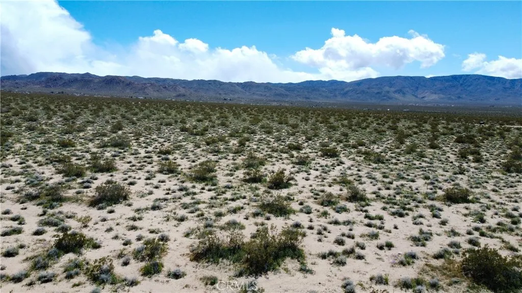 Additional image 7 of 711 Last Mile (near) Road, Johnson Valley, CA 92285