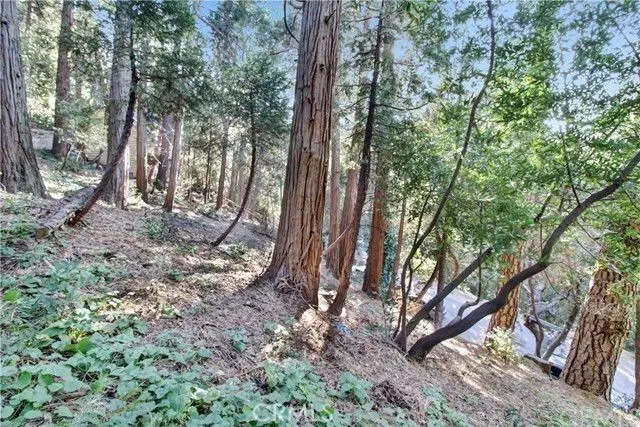 Additional image 15 of 2661 Scenic, Crestline, CA 92325