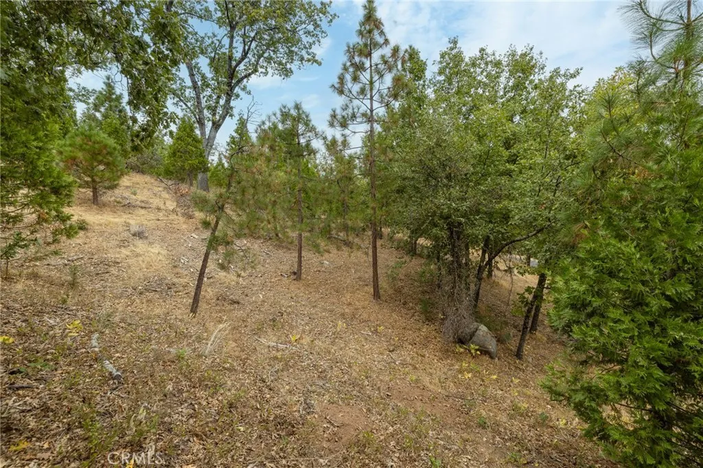 Additional image 18 of 26 Timberview, North Fork, CA 93643