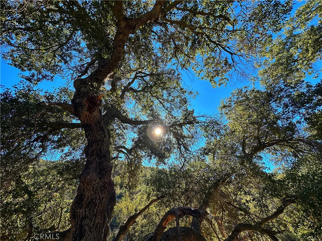 Additional image 9 of 28618 Chihuahua Valley Road, Warner Springs, CA 92086