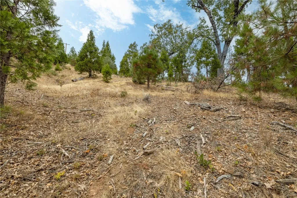 Additional image 11 of 26 Timberview, North Fork, CA 93643