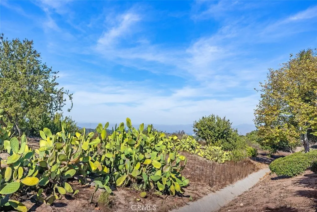 Additional image 39 of 2 Crystalglen, Aliso Viejo, CA 92656