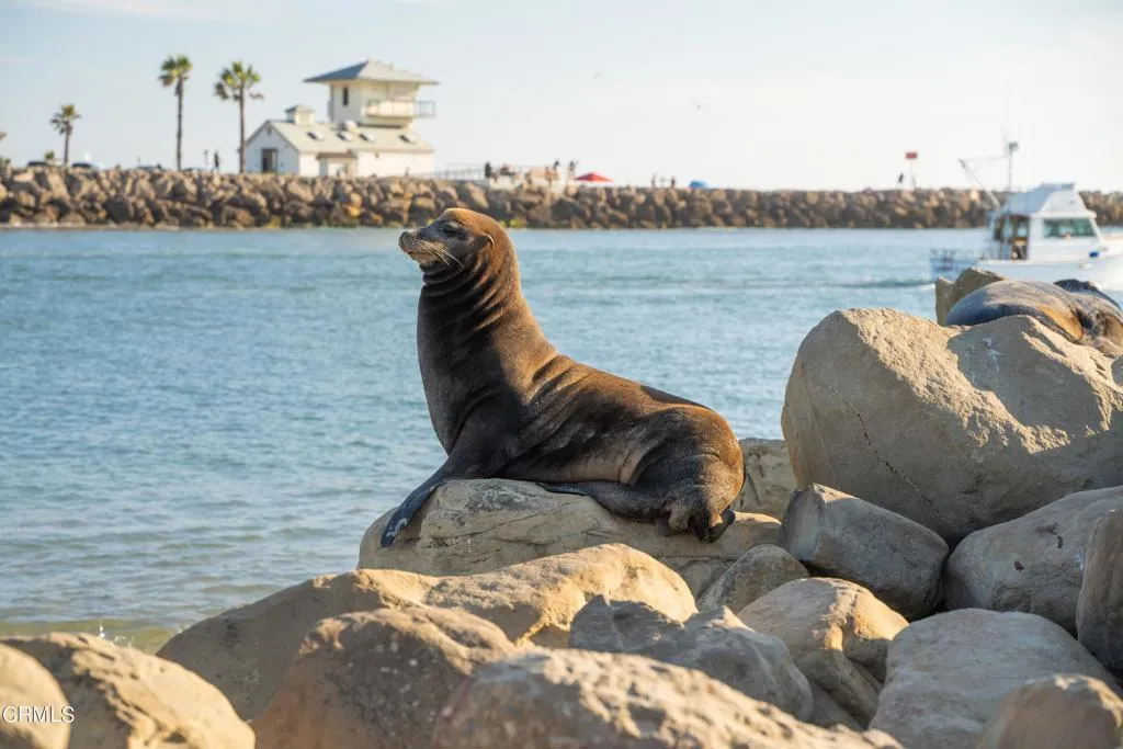 Additional image 7 of 274 Sunset Drive, Oxnard, CA 93035