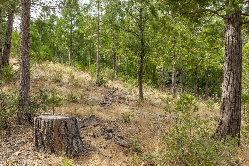 Additional image 8 of 26 Timberview, North Fork, CA 93643