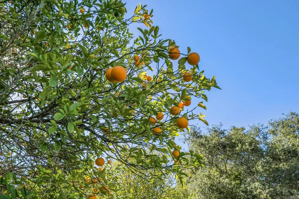 Additional image 68 of 1051 Via Rancho Parkway, Escondido, CA 92029