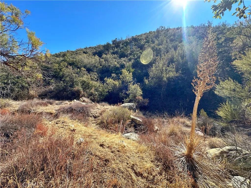 Additional image 51 of 28618 Chihuahua Valley Road, Warner Springs, CA 92086