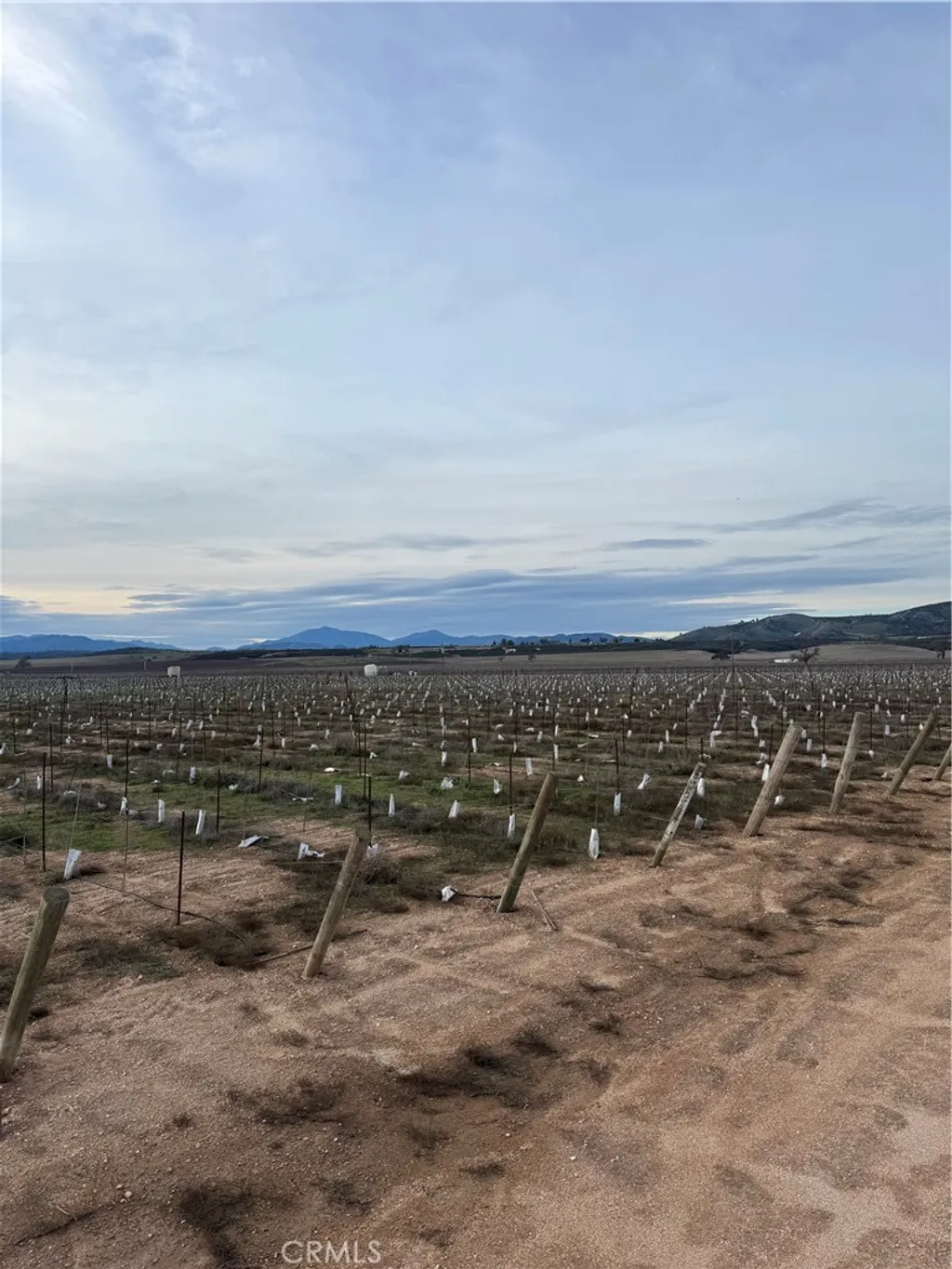 Additional image 28 of 48655 Lockwood Jolon Road, Lockwood, CA 93932