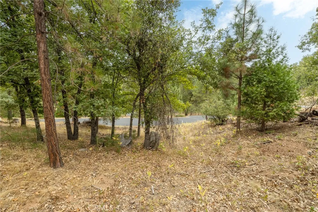 Additional image 12 of 26 Timberview, North Fork, CA 93643