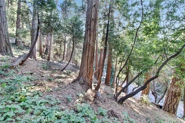 Additional image 15 of 2662 Scenic, Crestline, CA 92325