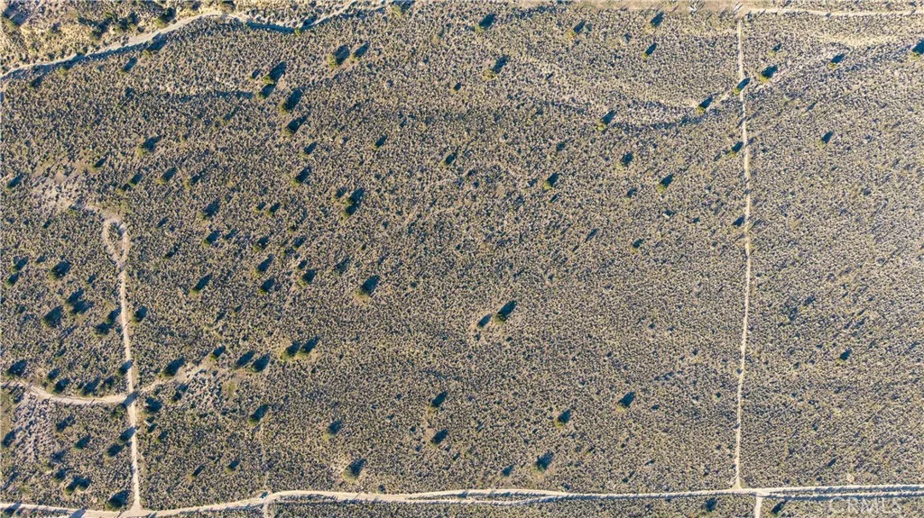 Additional image 13 of 223 Avenue X, Llano, CA 93544