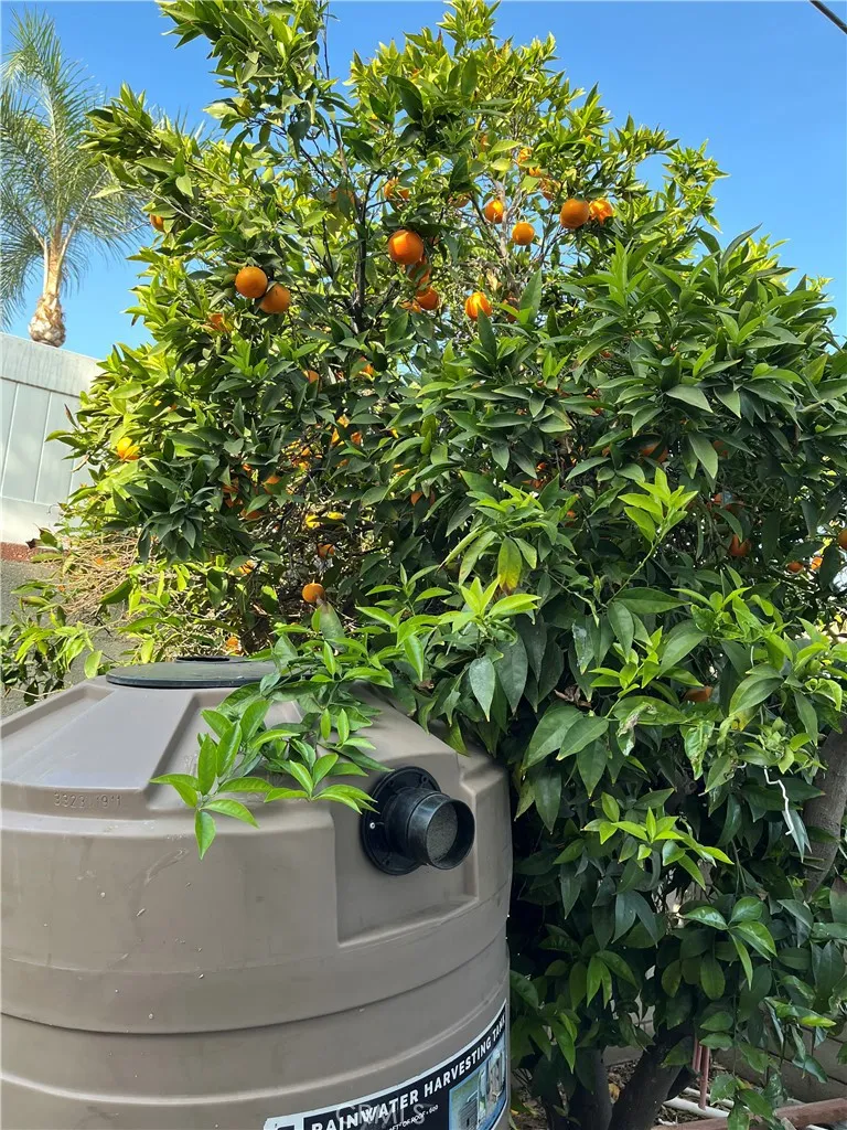 Additional image 32 of 7317 Ensign, Sun Valley, CA 91352