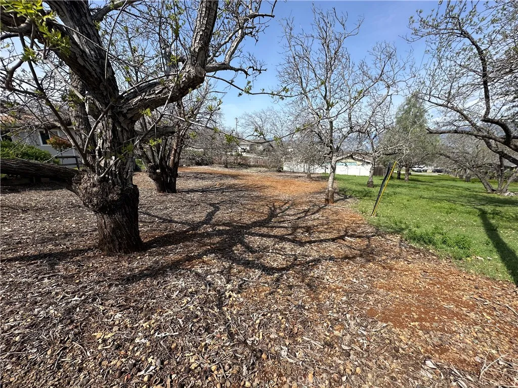 Additional image 4 of 3165 Marina View Drive, Kelseyville, CA 95451