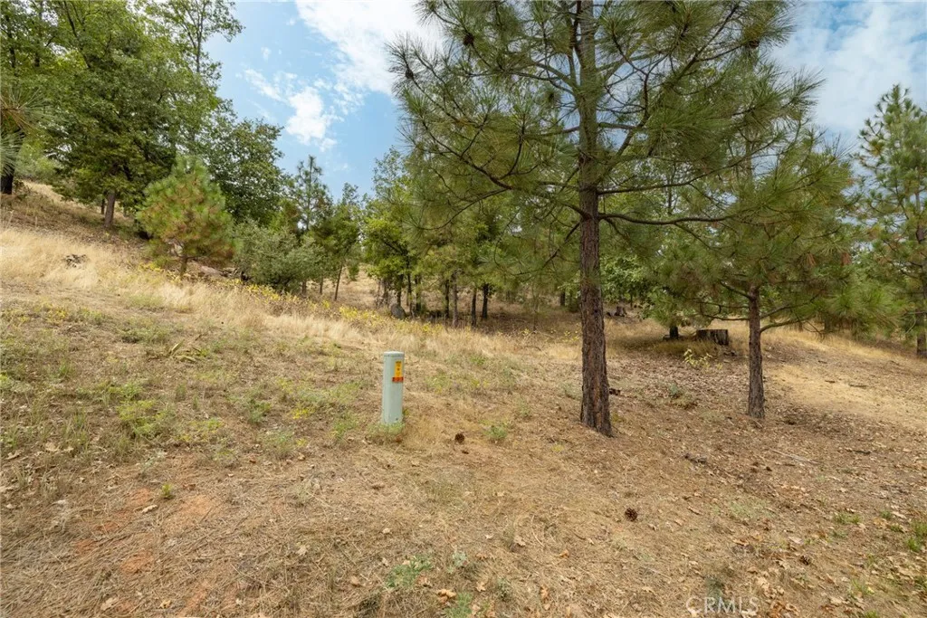 Additional image 16 of 26 Timberview, North Fork, CA 93643