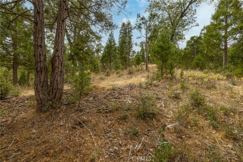 Additional image 65 of 26 Timberview, North Fork, CA 93643