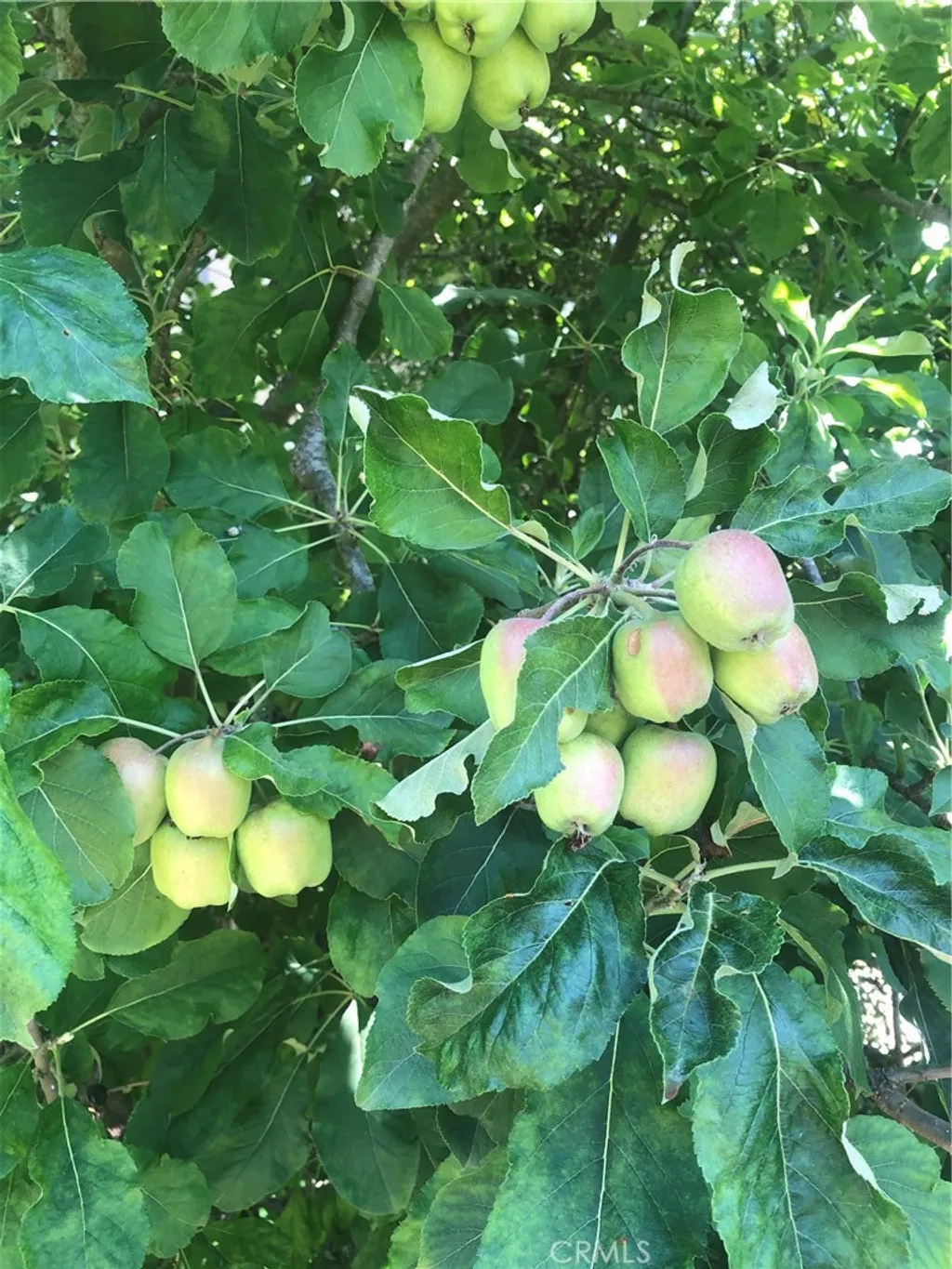 Additional image 22 of 18 Paseo Canos, San Clemente, CA 92673