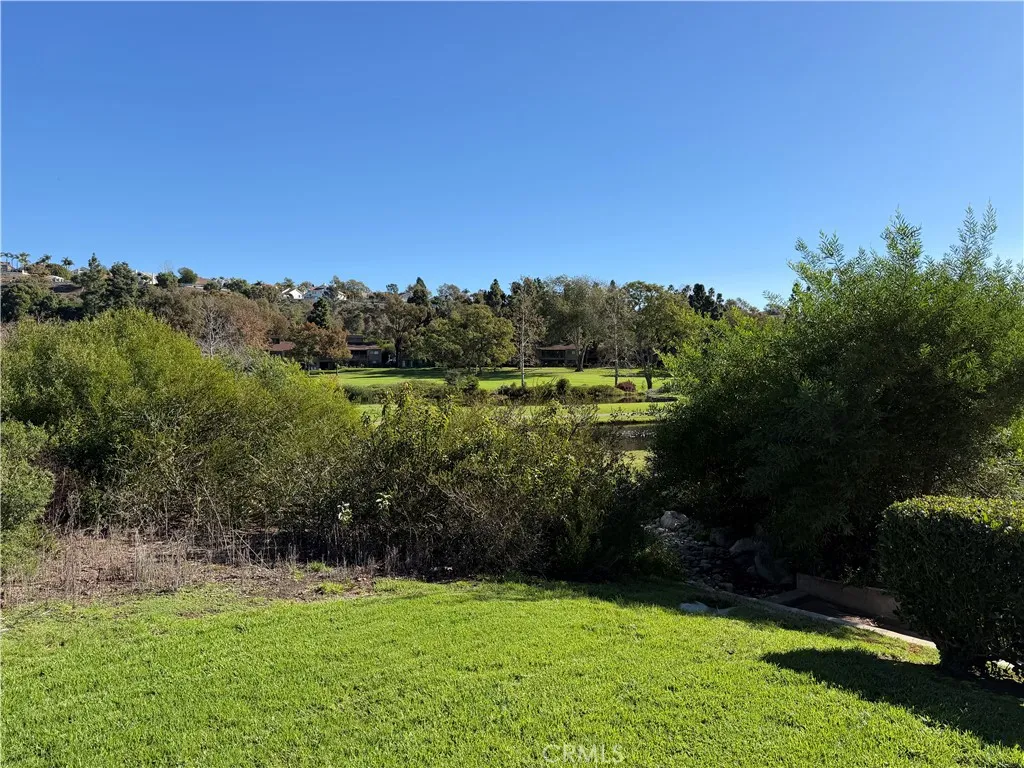 Additional image 68 of 31386 West Nine Dr, Laguna Niguel, CA 92677