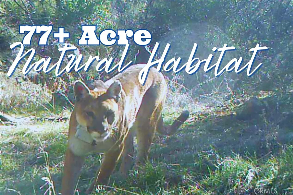 Additional image 41 of 28618 Chihuahua Valley Road, Warner Springs, CA 92086