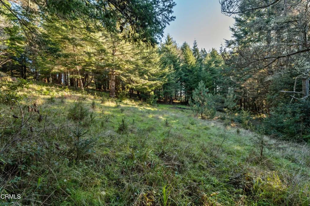 Additional image 7 of 4150 California 1, Albion, CA 95410