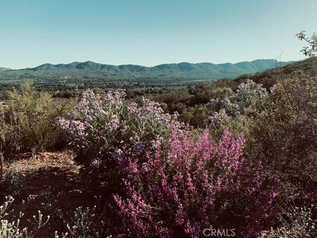 Additional image 67 of 30415 Chihuahua Valley Road, Warner Springs, CA 92086