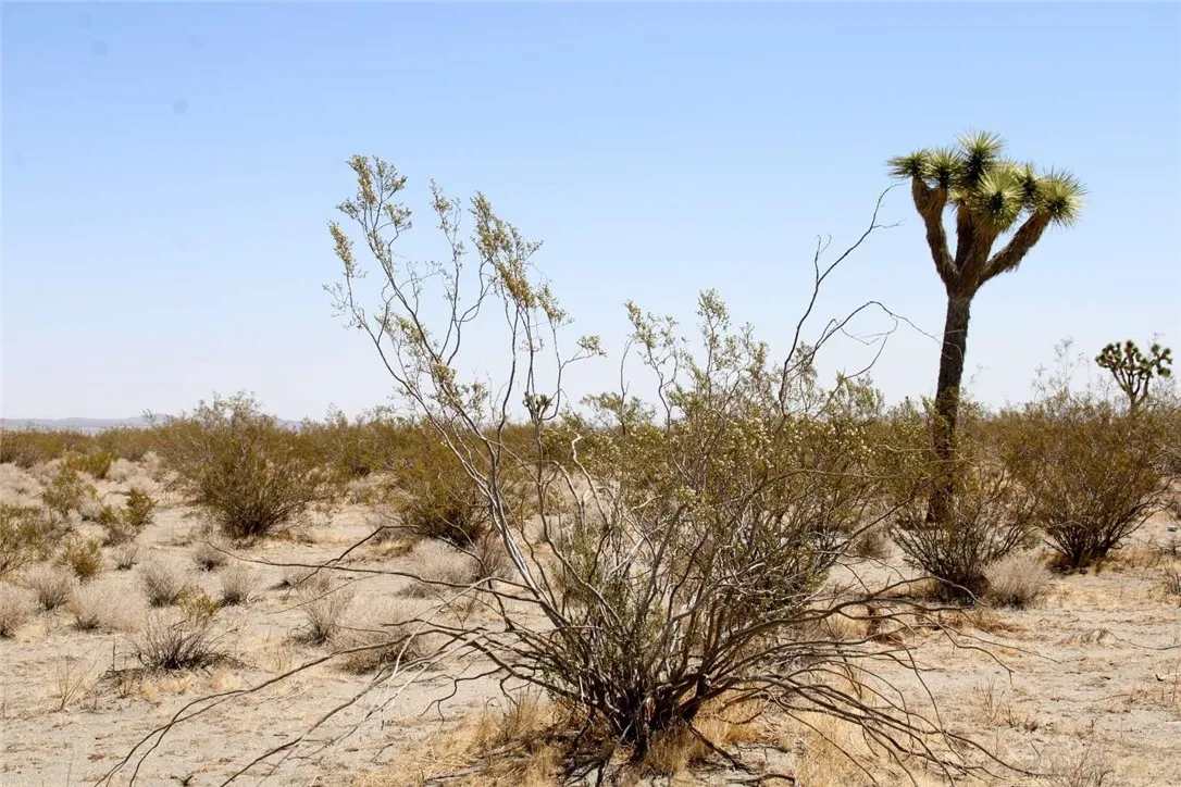 Additional image 34 of 14999 Mojave Drive, Phelan, CA 92371