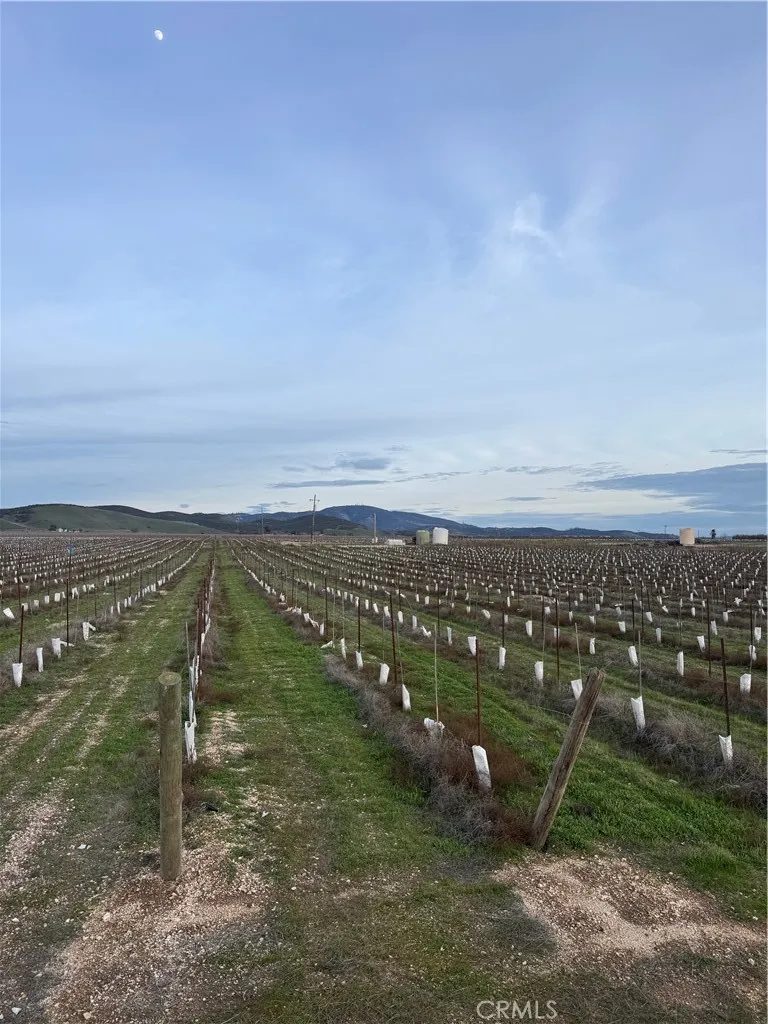 Additional image 54 of 48655 Lockwood Jolon Road, Lockwood, CA 93932