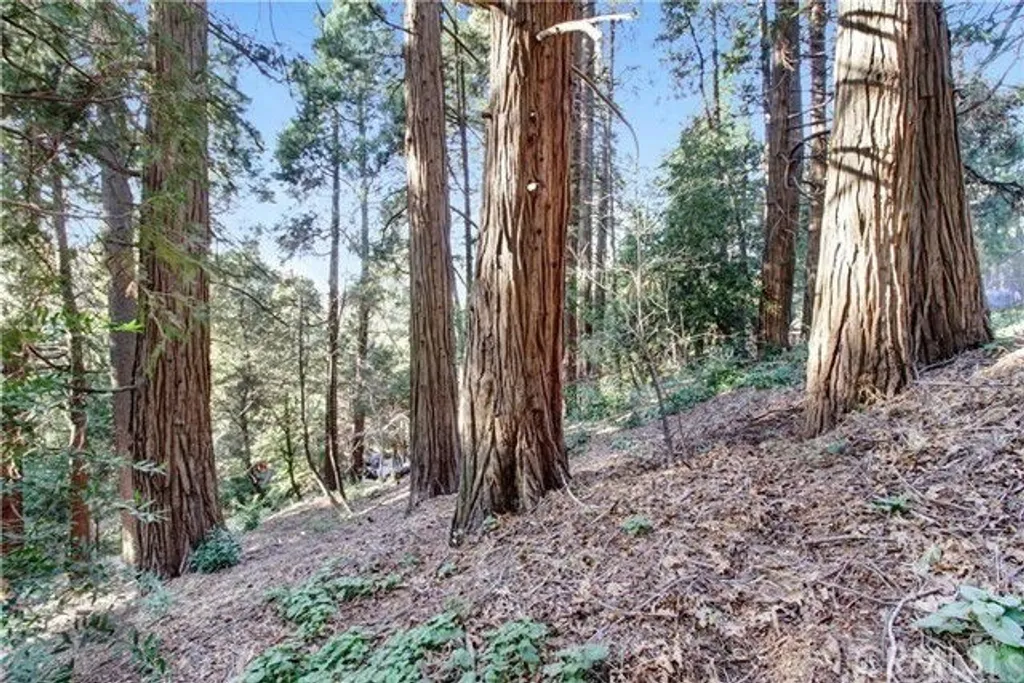 Additional image 2 of 2662 Scenic, Crestline, CA 92325