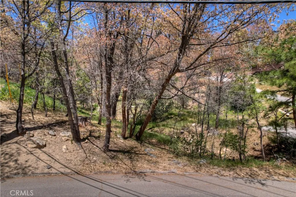 Additional image 19 of 27998 W Shore Road, Lake Arrowhead, CA 92352