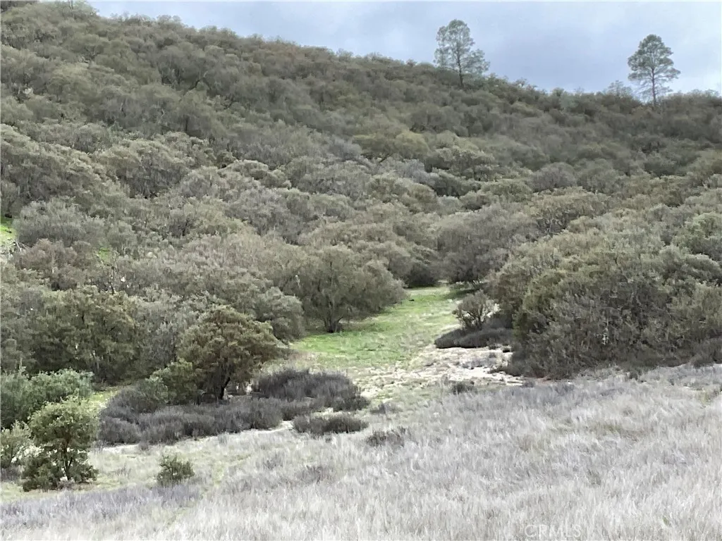 Additional image 18 of 104 Paulsen Road, Lockwood, CA 93932