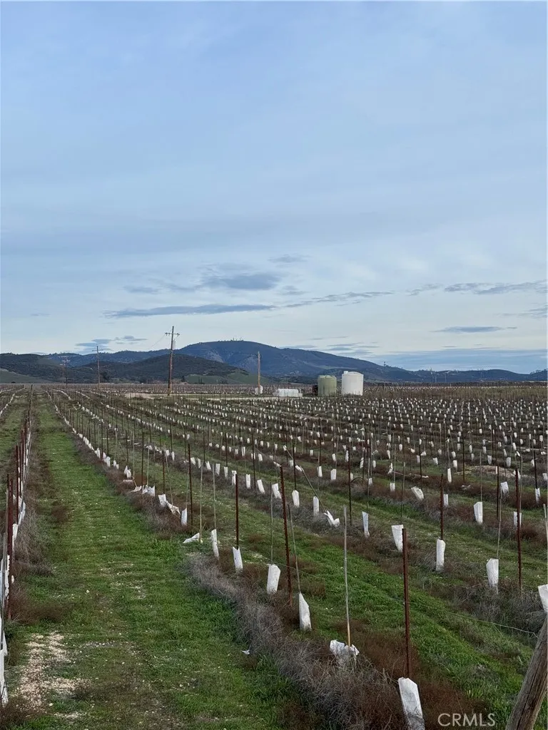 Additional image 55 of 48655 Lockwood Jolon Road, Lockwood, CA 93932